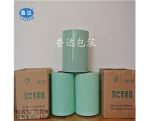 养殖白色牧...
